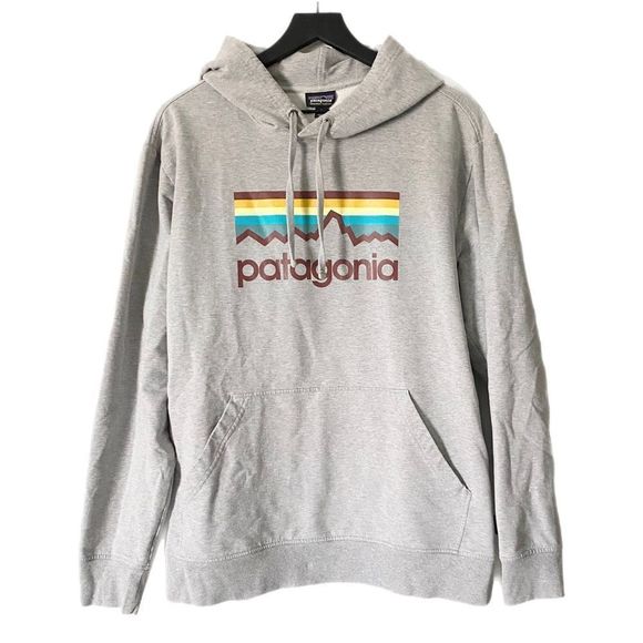 Patagonia Other - Patagonia Line Logo Midweight Pullover Hoodie